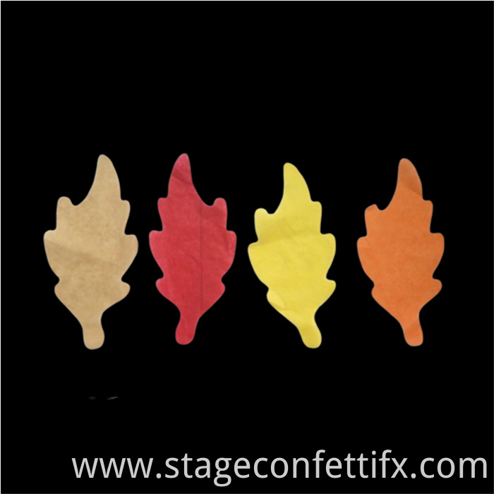 custom confetti shapes